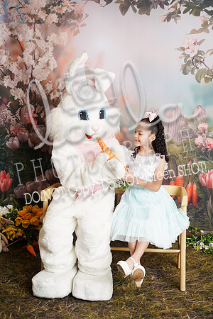 DSC09406
