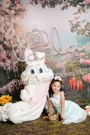DSC09586