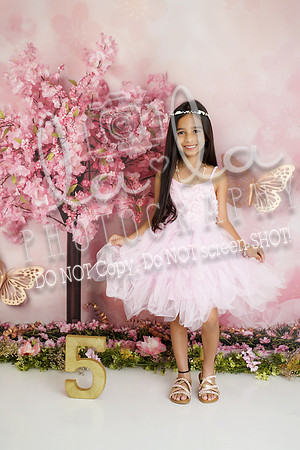 DSC07542