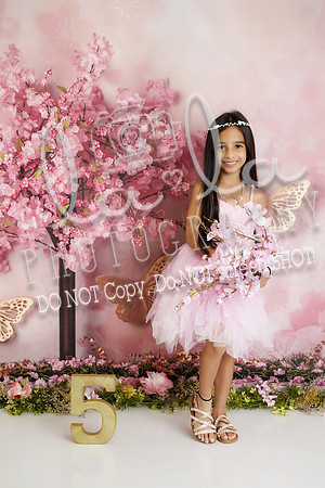 DSC07520