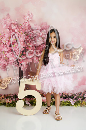 DSC07570