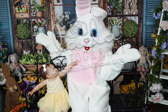 DSC06347