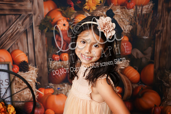 DSC08873