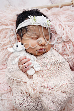 DSC03861