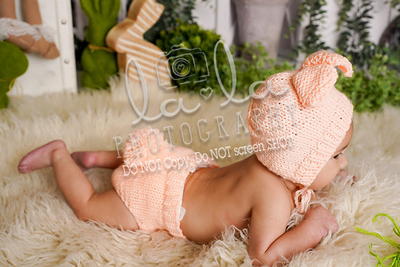 DSC03961