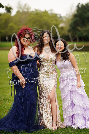 DSC03687