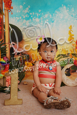 DSC00971