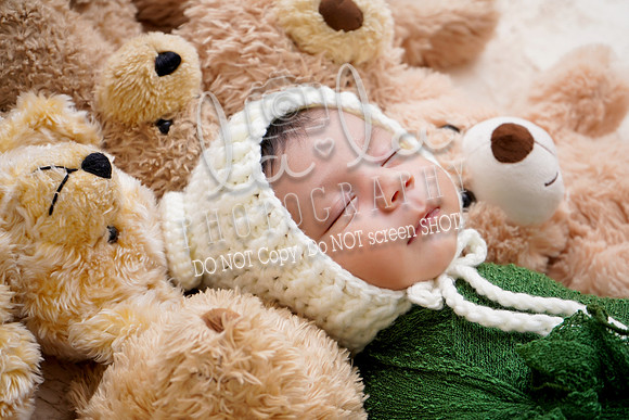 DSC01091