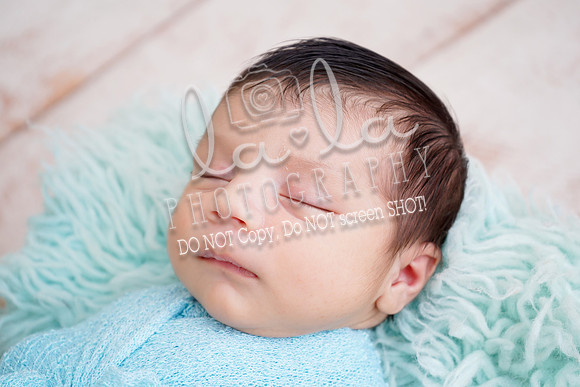 DSC01130