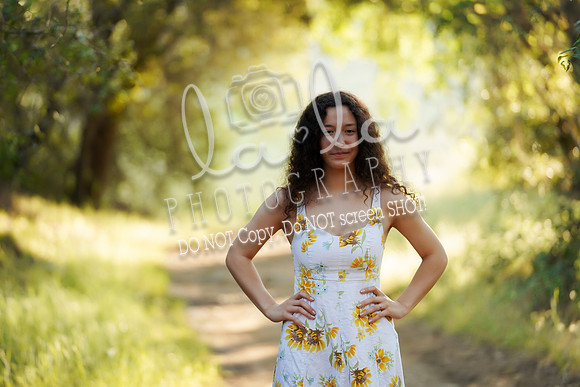 DSC04501