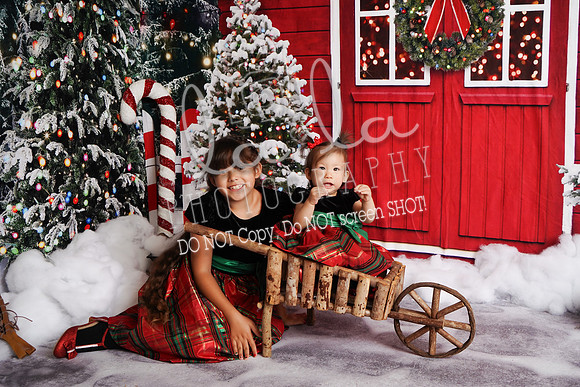DSC02244