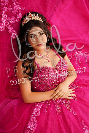 DSC08565