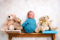 DSC03519