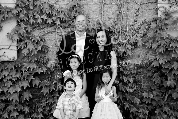DSC03287 copy