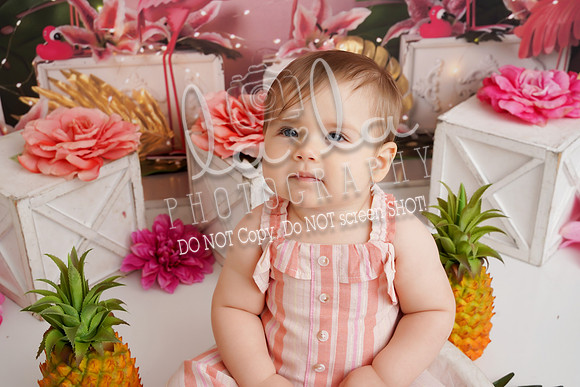 DSC07856