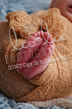DSC00310