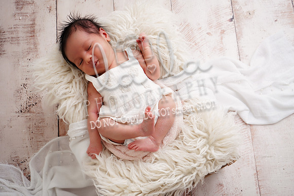 DSC03162