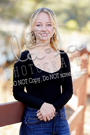DSC03233