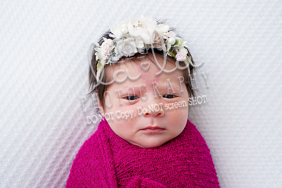 DSC06169