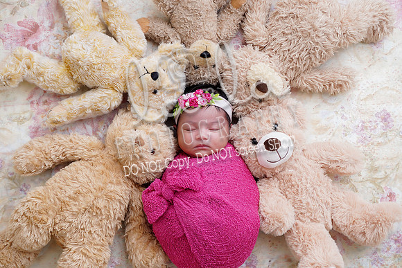 DSC00095