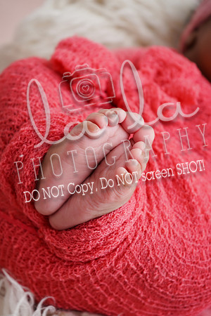 DSC05572