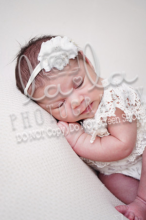 DSC01449
