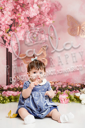 DSC03174
