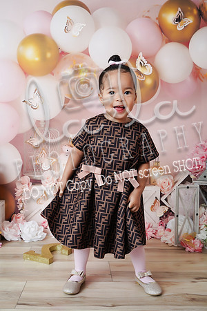 DSC03411