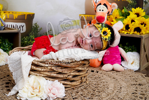DSC01208