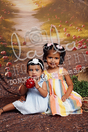 DSC04760 EDIT