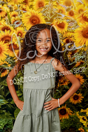 DSC08153