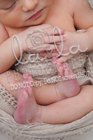 DSC03548