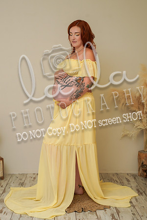 DSC04236