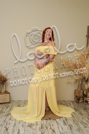 DSC04254