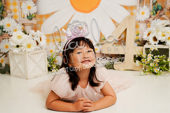 DSC03103