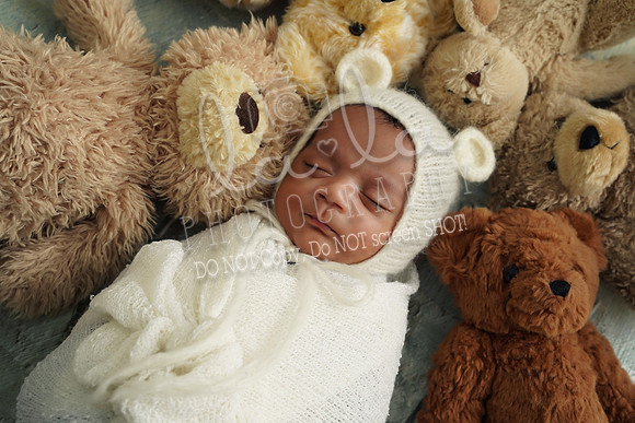 DSC03206