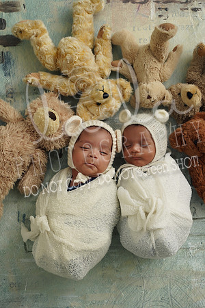 DSC03232