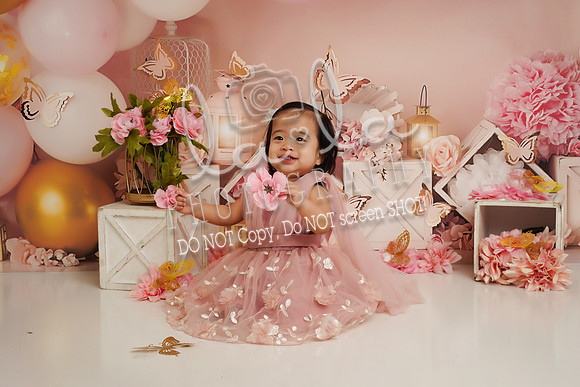 DSC02201