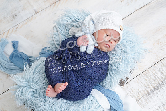 DSC04701