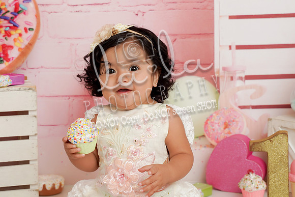 DSC04260