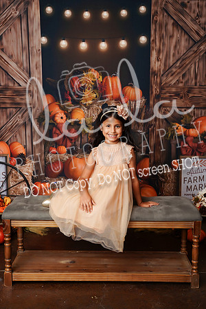DSC08619