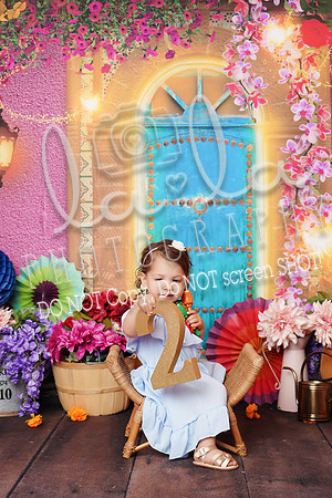 DSC00537