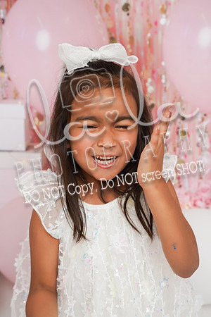 DSC06691