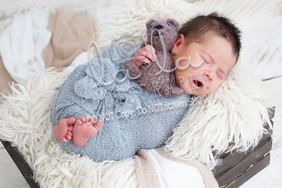 DSC04072