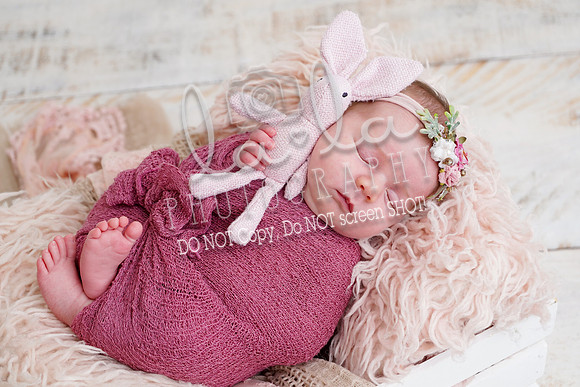 DSC00554