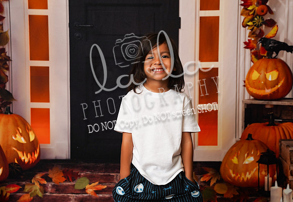 DSC08270
