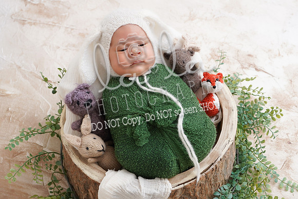 DSC04441