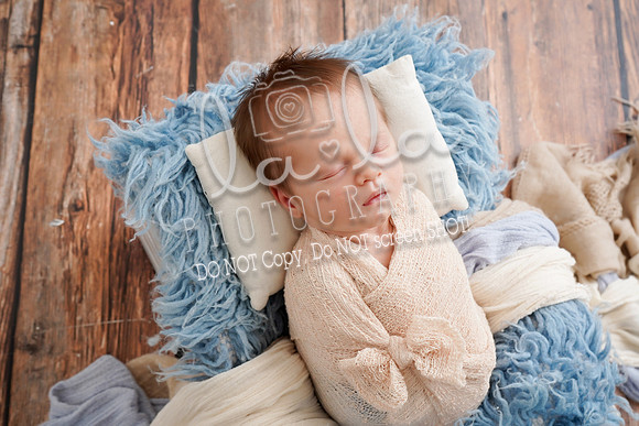 DSC05687