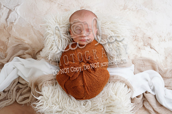 DSC09380