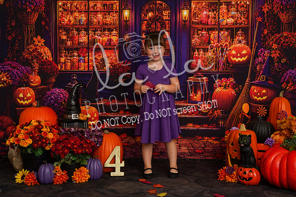 DSC08495